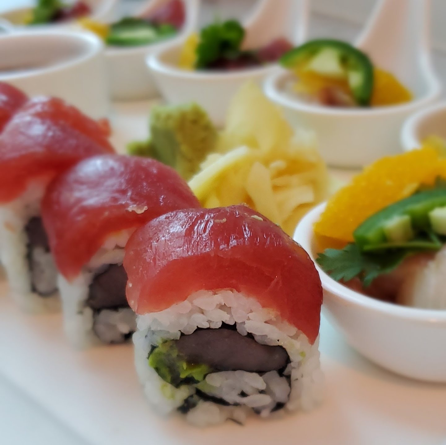 PassionFish Reston by null