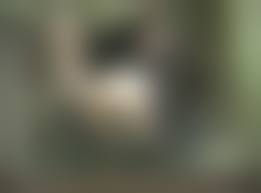 洋炉 bdsm 緊縛 浣腸|DVD通販】緊縛浣腸夫人 岬レナ｜新品・中古アダルトDVDなら Nairu(ナイル)