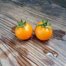 Rajce|Rajče - 😍 Letní slevy platí už jen do konce srpna. Neváhejte si vytvořit  upomínky z dovolené a celého léta. Platí na fotoknihy, fotky, pexesa a  další dárky z fotek. Nezmeškejte je!