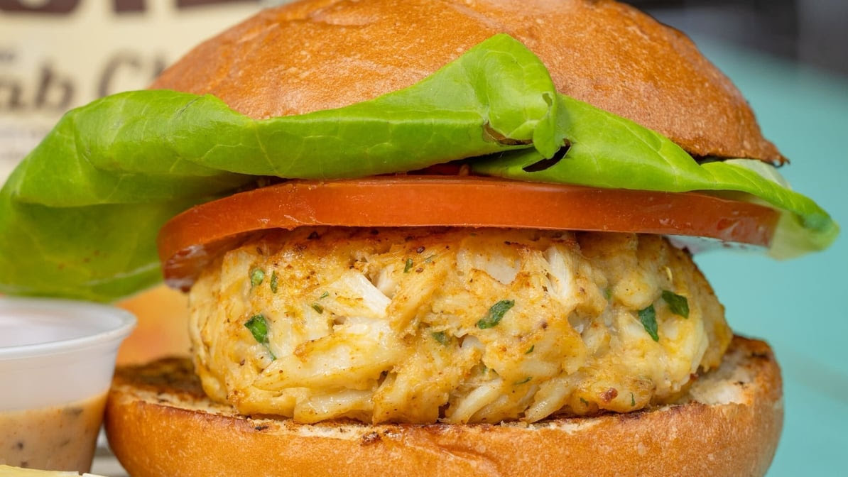 The Marylander by null