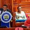 Kawira Mwangaza faces Senate for date with destiny - Nairobi Law ...