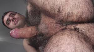 Easaatbwx prktucfykqzpsrqm jpg x Urso peludo