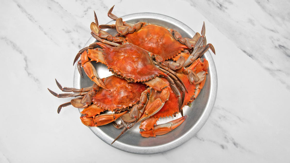 Read Seafood by null