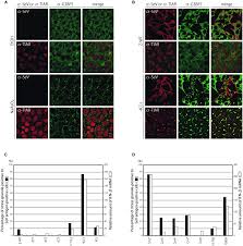 gallerynova.se lsm 04 13|女教師 川村りか （セクシーお宝画像） : 女教師