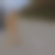 　熟年夫婦　屋内全裸|笑福亭鶴瓶の画像・写真 | 掲示板などにアップされている『授乳だ！逮捕だ！爆発だ！ 鶴瓶カレンダー2009』の1シーン - 5枚目 |  週刊女性PRIME