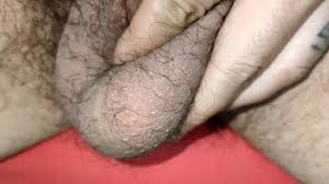 Beefy guy shows thick cock and hairy balls jpg x Hairy balls