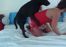Animalflix com black girl fucks and sucks dog jpg x Girl animal