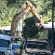 Cairns house where eight children were found dead to be razed by end of day 