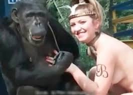 Monkeys make love on unsuspecting womans lap preview hqdefault jpg x Monkey fucks girl