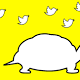 Snap is the new stubborn, slow-growing Twitter 