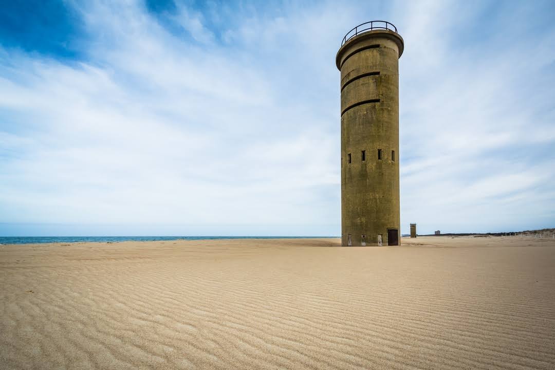 Cape Henlopen State Park by null