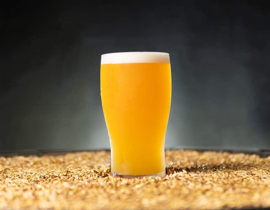 Elliott Bay Brewing - Lake City by null