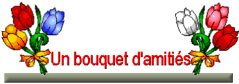 http://t2.gstatic.com/images?q=tbn:ANd9GcSmJoevqvlnnJUhuxDSIR9sugJqMhxD9xc9sCBeVmPnivEBpYzWfQ