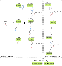 Han Chae-ah fakenude|Natural Compounds with Beneficial Effects on Skin Collagen Type I and  Mechanisms of Their Action