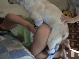 Sesso porn video young sexy teen big black dick fucking midget png x Teens fucking animals