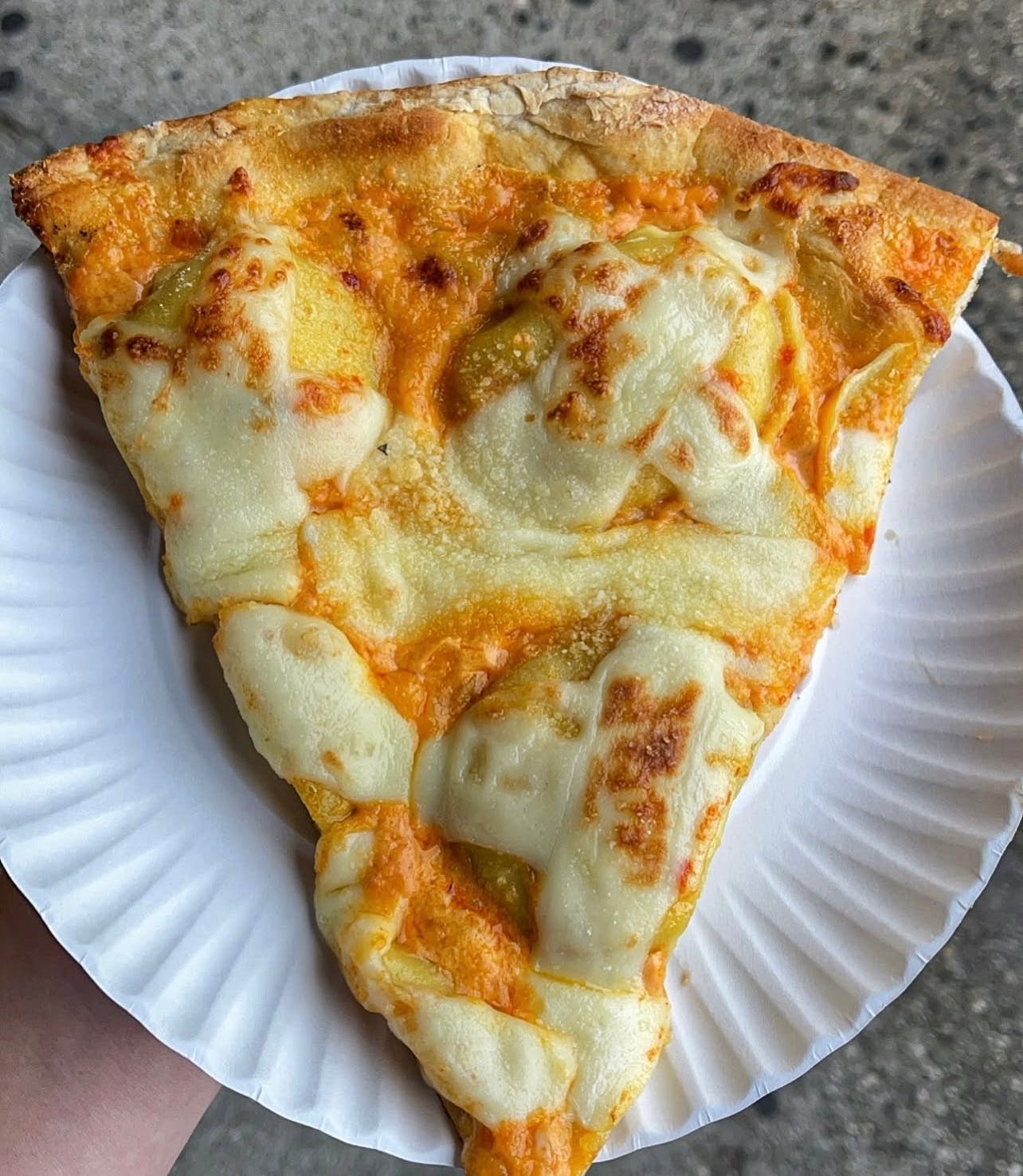 The Pizza Professor by null