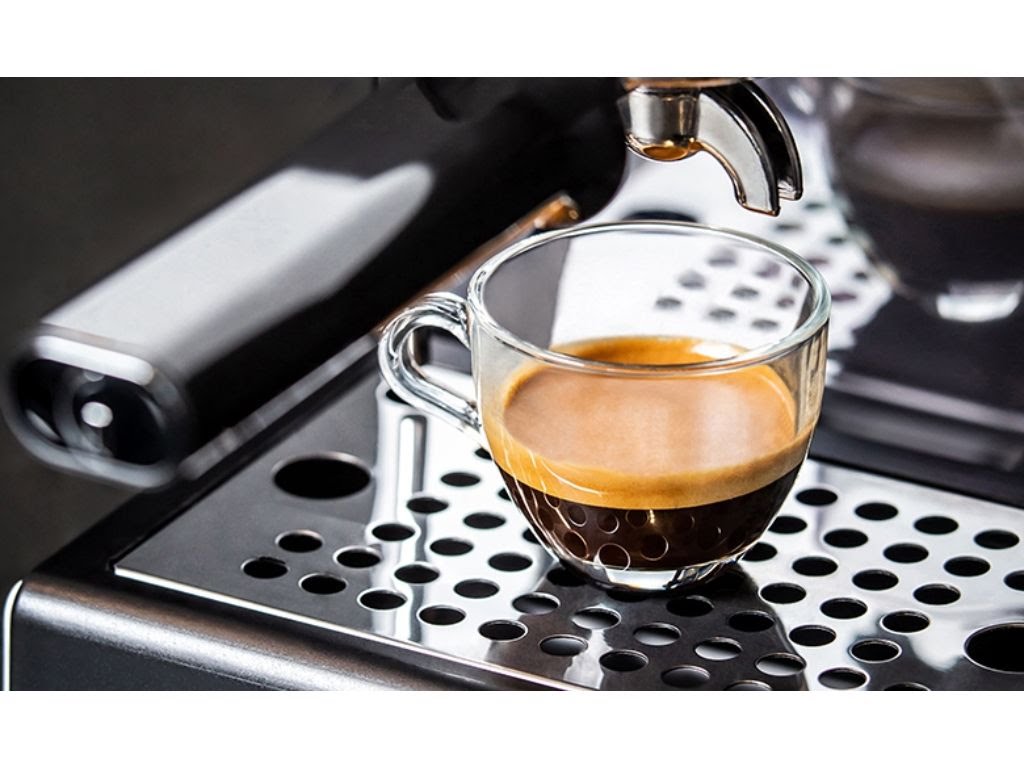 Georgetown Gourmet by null