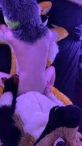 Rule if it exists there is porn jpg x Gay fursuit