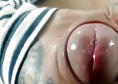 Shemale cumshot closeup jpg x Shemale cumshot closeup