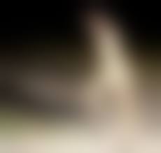 素人パイパン　露出　りゅう|変態素人パイパン娘りゅう無修正野外露出素人パイパンりゅう投稿画像 SexiezPix Web Porn 0 | Hot Sex Picture