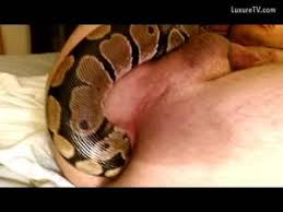 Fucks snake jpg x Fucks snake