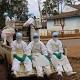 Guinea: 29 dead from viral hemorrhagic fever