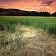 New study sheds light on Climate Change and soil carbon 
