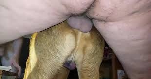 Guy fucks male dog sex pictures pass jpg x Guy fucks male dog