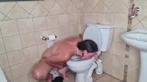 Head in toilet jpg x Head in toilet