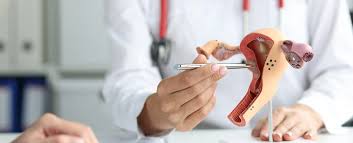 pediatric gynecology|Amazon | Atlas of Pediatric and Adolescent Gynecology | Javier, Emil,  Yabes-Almirante, Corazon, M.D., Atencio, Franklin P., M.D., De Guia, Blanca  C. | Obstetrics & Gynecology