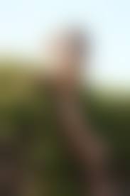 Litu 100 pussy|Litu100] _ An An