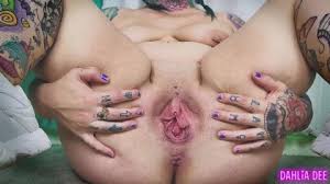 Egndhgaaaa bowxev mhwuzfygf jpg x Dahlia dee