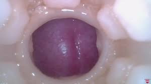Cum in vagina jpg x Cum in vagina