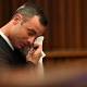 Steenkamp, Pistorius's internet use revealed in court