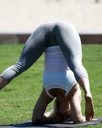 Nice yoga pants found here tumbex jpg x Sexy yoga pants tumblr