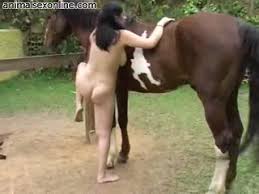 Lady fucks horse jpg x Lady fucks horse