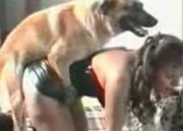 Animal passion lick fuck pussy zooporn zoo porn dog sex with dog porn zoo dog sex videos dogsex jpg x And dog sex