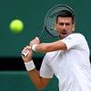 Novak Djokovic se clasificó a la final de Wimbledon y buscará el 25 ...