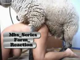 Kinky zoo cam porn with a dog fucking a sheep jpg x Man fucking sheep