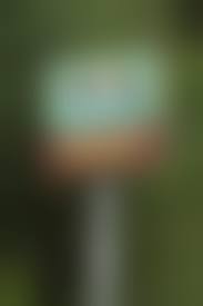 Jung und frei nudist |Amazon | Nudist Magazines of the 50s & 60s (4) (Nudist Nostalgia Series, Bk  4) | Lange, Ed | Words & Language