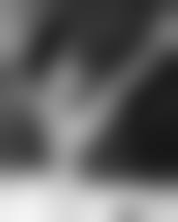 young brooke shield nude|Brooke Shields Nude & Topless Pics And Sex Scenes Compilation