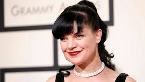 Pauley perrette jpg x Pauley perrette