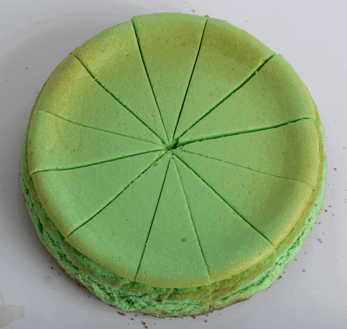 Muddy Paws Cheesecake by null