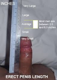 Dick size jpg x Dick size