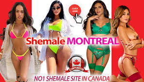 Search toronto shemale page jpg x Toronto shemale