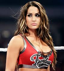 Times nikki bella wasn so jpg x Nikki bella sexy