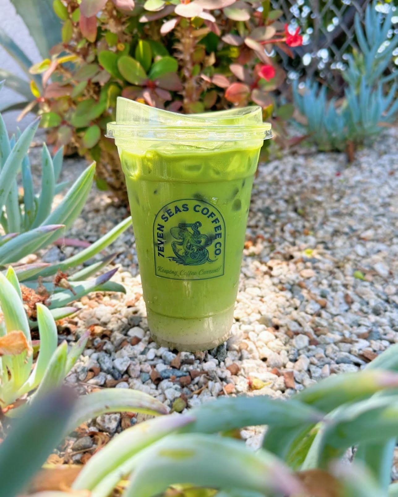 7even Seas Coffee Co. by null