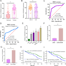 rq-star no. 00468|Analytic Solution for a Complex Network of Chaotic Oscillators
