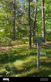 forest nudist|Nudist Compound Stock Photos - Free & Royalty-Free Stock Photos from  Dreamstime