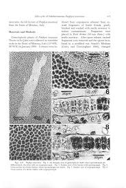 go ah ra fake nude|•••